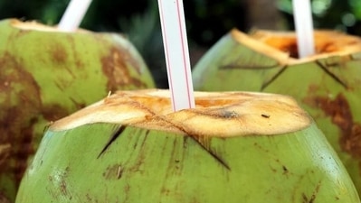 Coconut water: It keeps you hydrated and acts like a natural diuretic. It also helps in regulating blood pressure by maintaining the electrolyte balance. (Pixabay) Coconut water: It keeps you hydrated and acts like a natural diuretic. It also helps in regulating blood pressure by maintaining the electrolyte balance. (Pixabay)