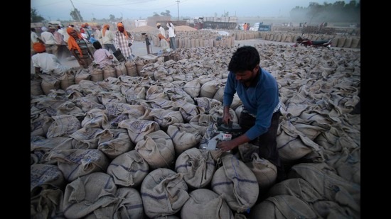 Relief for farmers: Centre relaxes norms for shrivelled wheat grains ...