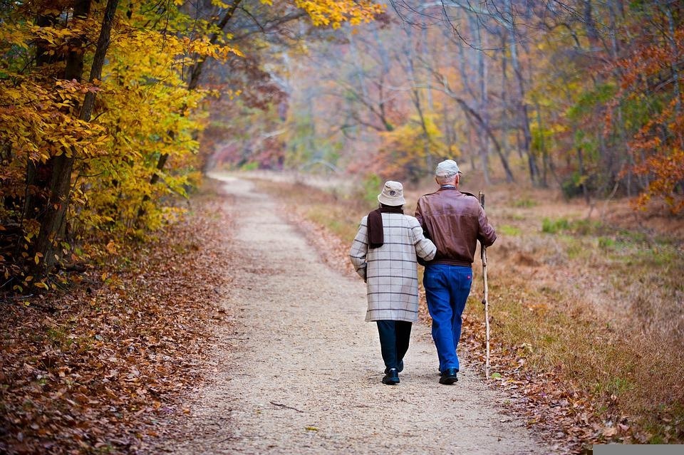 It has been well established that ageing is associated with a decrease in the number of telomere repeats at the ends of chromosomes, partly as a result of insufficient telomerase activity. (Pixabay) It has been well established that ageing is associated with a decrease in the number of telomere repeats at the ends of chromosomes, partly as a result of insufficient telomerase activity. (Pixabay)