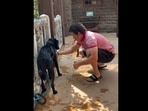 Sachin Tendulkar giving a bath to his two pet dogs. (sachintendulkar/Instagram) Sachin Tendulkar giving a bath to his two pet dogs. (sachintendulkar/Instagram)