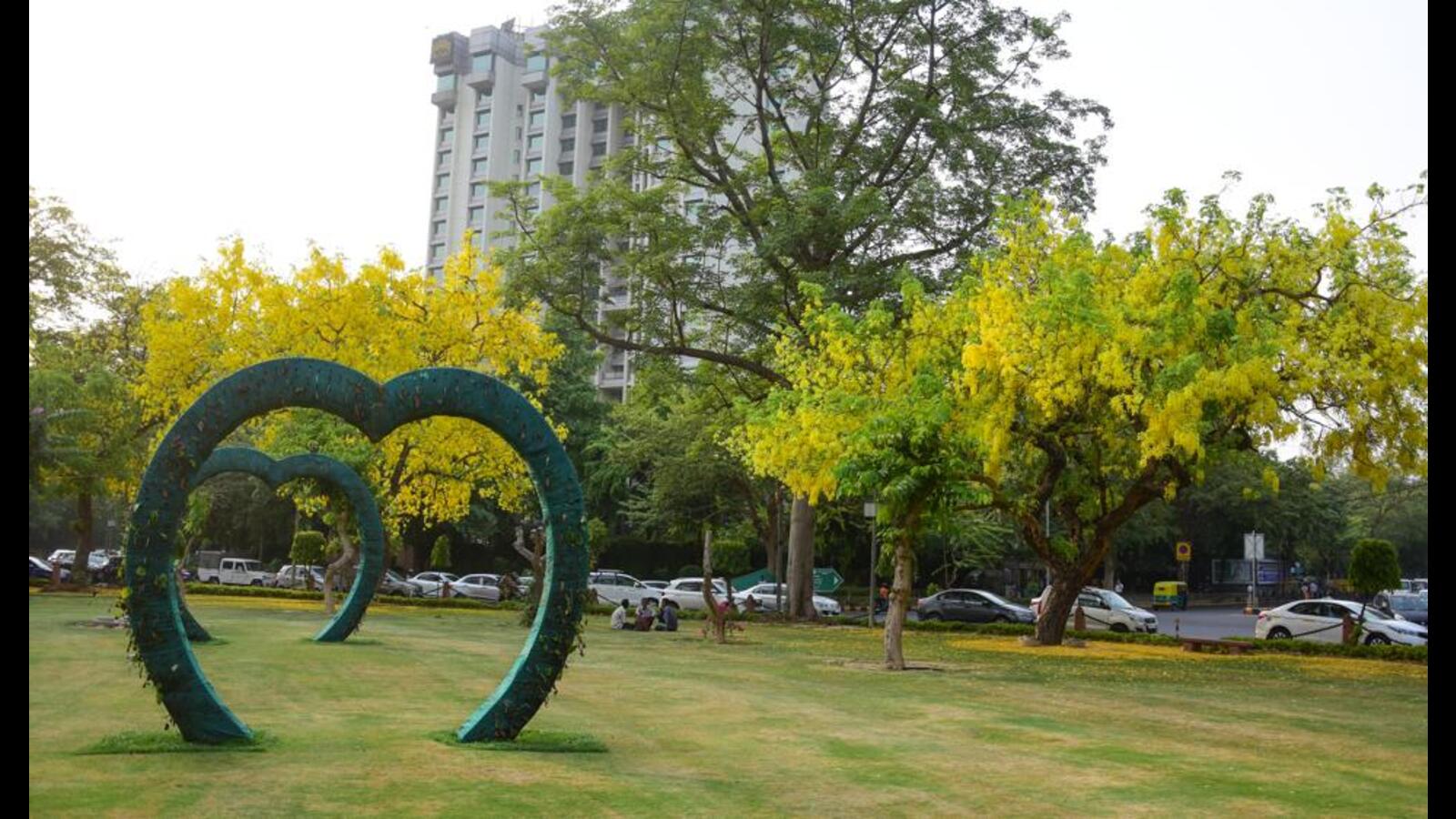 Subhashree 💛 | THE GOLDEN SHOWER TREE/ AMALTAS Trees are poems that the  earth writes upon the sky,”- Kahlil Gibran I noticed that the roads look  yel... | Instagram