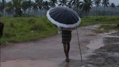 The India Meteorological Department (IMD) has sounded red alert in two districts and orange in six other districts of Kerala. (AP File Photo)