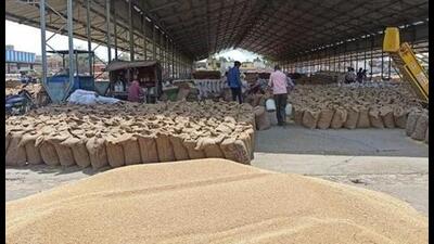 Punjab’s minister for food and civil supplies Lal Chand Kataruchak ordered the continuation of wheat procurement operations in 232 mandis in the state until May 31. Punjab’s minister for food and civil supplies Lal Chand Kataruchak ordered the continuation of wheat procurement operations in 232 mandis in the state until May 31.