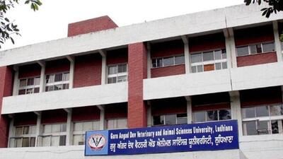 GADVASU, Ludhiana, marked the National Technology Day. (HT File)