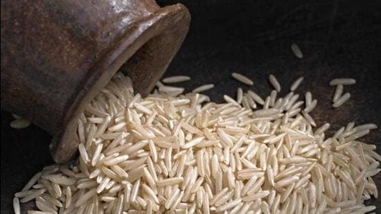 Iron-fortified rice distribution has shown adverse health impact among Adivasi populations suffering from sickle-cell anaemia and thalassemia, the fact-finding team found after visiting a tribal belt in Jharkhand, where fortified rice is being given in a pilot project. (HT PHOTO.)