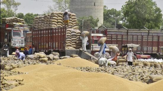 The Centre has allowed FCI to procure wheat in Punjab and Haryana for federal stocks by relaxing grain-quality norms, known as fair and average quality. (HT PHOTO.)