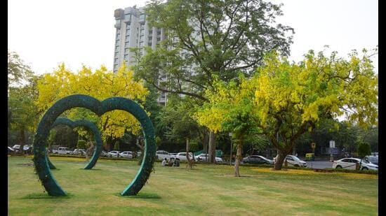 Amaltas’ yellow magic has taken over the Capital, as this tree can be spotted almost everywhere. (Photo: Manish Rajput/HT)