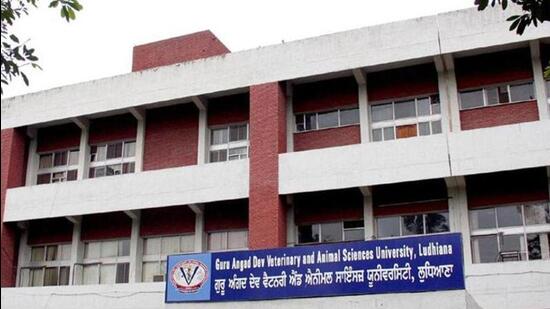 GADVASU, Ludhiana, marked the National Technology Day. (HT File)