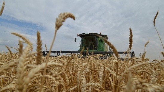 Centre extends wheat procurement, relaxes quality norms | India News