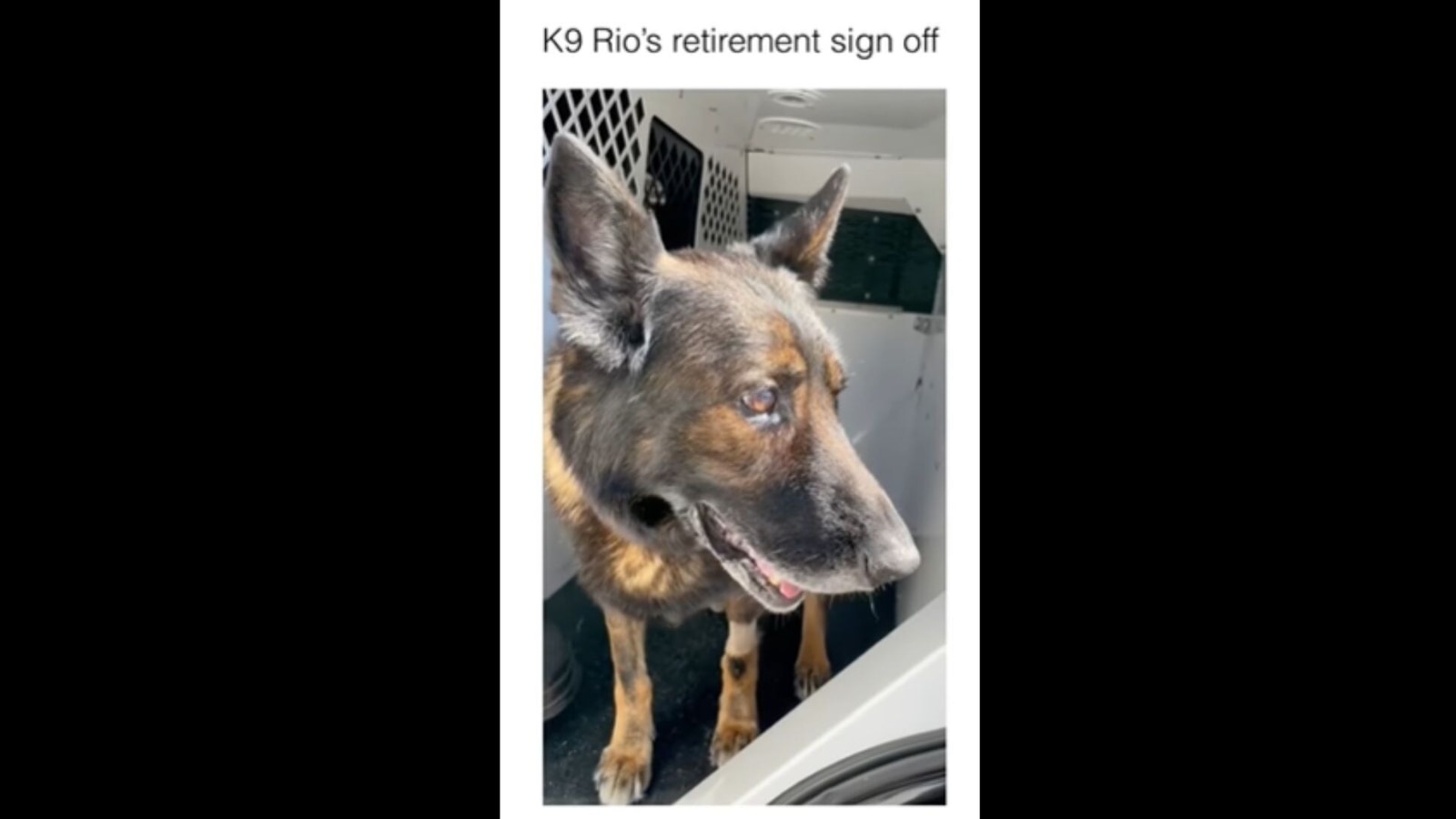 what happens when a k9 dog retired