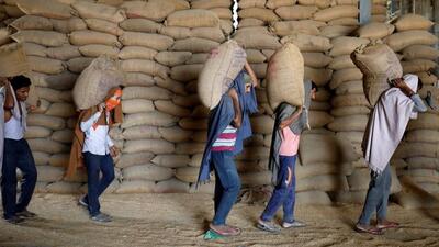 India on May 13 said it was suspending overseas sales of wheat to manage its food security which is “at risk”. (REUTERS.) India on May 13 said it was suspending overseas sales of wheat to manage its food security which is “at risk”. (REUTERS.)