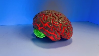 New approach for devastating brain tumour treatment found during study (Unsplash) New approach for devastating brain tumour treatment found during study (Unsplash)
