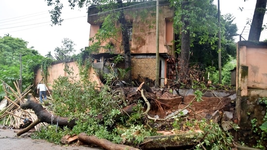 A tree is uprooted after the boundary wall of Assam Engineering Institute (AEI) collapses due to a landslide following heavy rainfall, in Guwahati. (ANI Photo)(Pitamber Newar ) A tree is uprooted after the boundary wall of Assam Engineering Institute (AEI) collapses due to a landslide following heavy rainfall, in Guwahati. (ANI Photo)(Pitamber Newar )