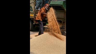 A labourer separates grains of wheat from the husk at a wholesale grain market in Ghaziabad. (Photo by Prakash SINGH / AFP) (AFP)
