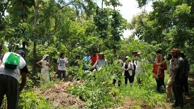 Food forests will be developed in selected 15 districts of U.P. in the next six months with the help of local farmers, said a government statement on Tuesday. (Pic for representation) Food forests will be developed in selected 15 districts of U.P. in the next six months with the help of local farmers, said a government statement on Tuesday. (Pic for representation)