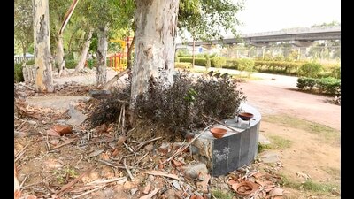 Damaged concrete structures around trees at Sidhwan Canal Waterfront in Sarabha Nagar in Ludhiana. An inquiry was marked to MC additional commissioner Aaditya Dachawal over the issue, which is still going on. (Gurpreet Singh/HT) Damaged concrete structures around trees at Sidhwan Canal Waterfront in Sarabha Nagar in Ludhiana. An inquiry was marked to MC additional commissioner Aaditya Dachawal over the issue, which is still going on. (Gurpreet Singh/HT)