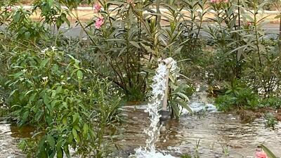GMDA officials said that they are focusing on increasing the use of treated wastewater in parks, green belts, and in construction and industries. (Sourced) GMDA officials said that they are focusing on increasing the use of treated wastewater in parks, green belts, and in construction and industries. (Sourced)
