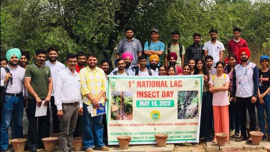 Students of PAU, Ludhiana, mark first National LAC insect Day. (HT PHOTO)