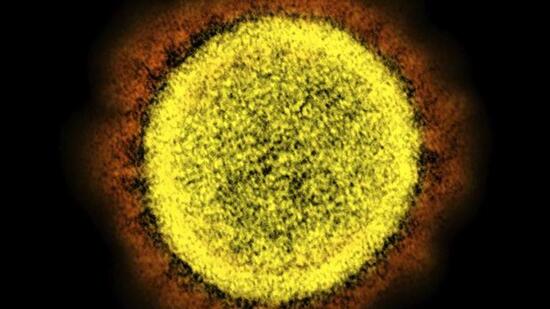 Those found infected in Chandigarh are residents of Sectors 10, 11, 14 and 15. (AP)
