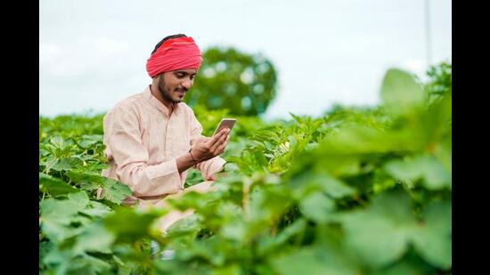 WhatsApp chat groups that link friends, families and hobbyists link small-business owners, entrepreneurs and farmers as well. (Shutterstock)
