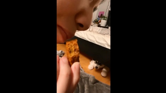 The image, taken from &nbsp;the Instagram video, shows the human pretending to eat their dog's treat.(Instagram/@harukithemalamute)