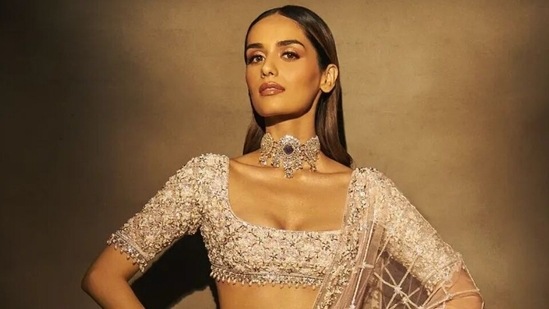 Prithviraj actor Manushi Chhillar shares 5 Indian elements she loves, names saree and bindi in video