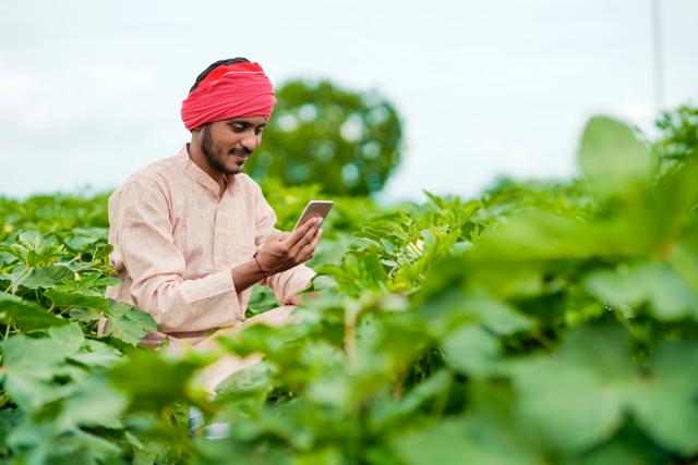 WhatsApp chat groups that link friends, families and hobbyists link small-business owners, entrepreneurs and farmers as well. (Shutterstock) WhatsApp chat groups that link friends, families and hobbyists link small-business owners, entrepreneurs and farmers as well. (Shutterstock)