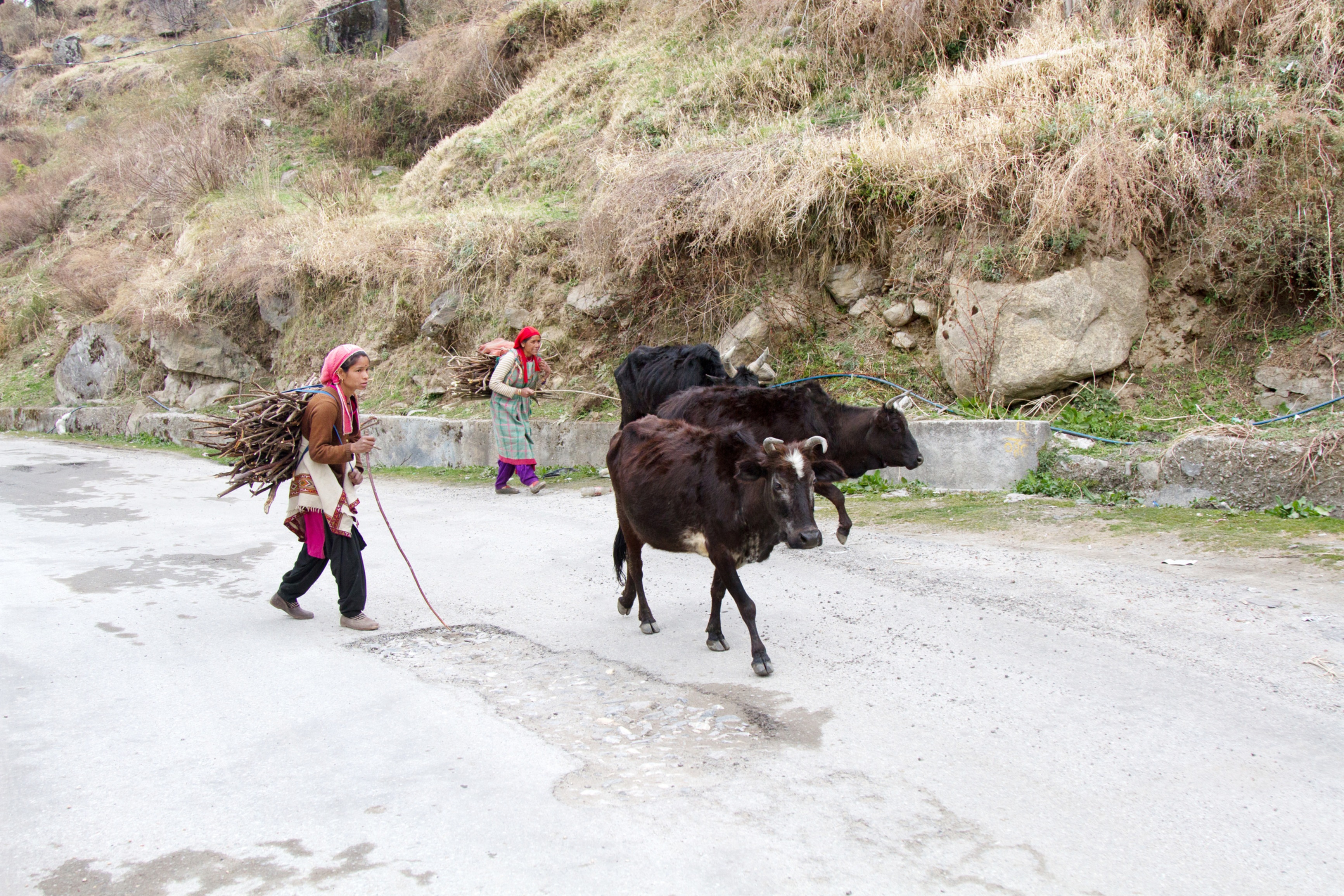 A significant part of a pastoral woman’s identity is derived from her care and responsibility toward the flock.&nbsp; (Shutterstock)