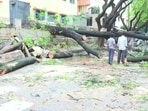 Several trees, poles have been uprooted in the aftermath of heavy rainfall causing severe waterlogging in various parts of the city.(ANI)
