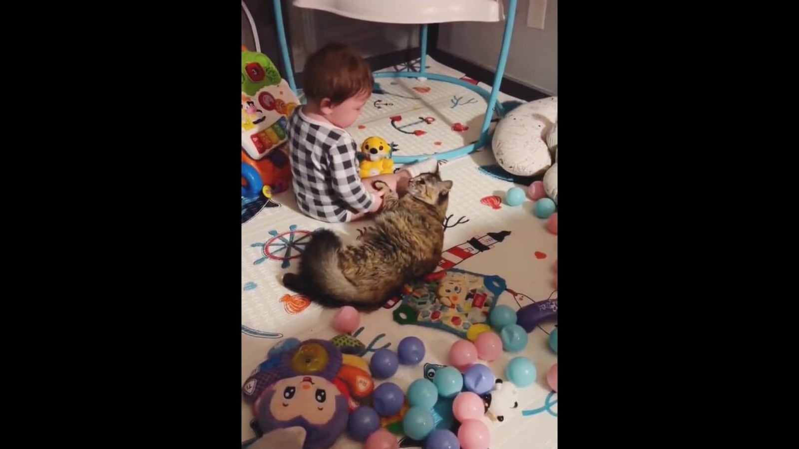 Cat tries soothing crying baby, succeeds. Watch wholesome video | Trending
