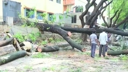 Several trees, poles have been uprooted in the aftermath of heavy rainfall causing severe waterlogging in various parts of the city.