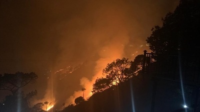 Forest fire | Representational image (Twitter/ANI) Forest fire | Representational image (Twitter/ANI)