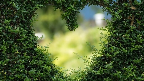 Some people struggle with expressing love as they are not able to find appropriate words for it. Sara Kuberic, writer and therapist in her recent Instagram post talks about ten ways to show love to people.(Pixabay)
