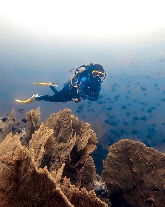 Travel: Best spots to enjoy adventure sports in India