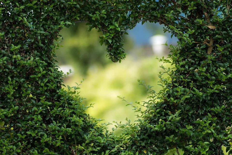 Daily Love and Relationship Horoscope 2022: Find out love predictions for June 10. (Pixabay) Daily Love and Relationship Horoscope 2022: Find out love predictions for June 10. (Pixabay)
