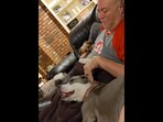 The Pitbull dog gets petted by the dad who was initially scared of its breed in this Reddit video. (Reddit/@epickeeper20)