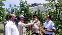 Puran Chand (second from left) at his apple orchard in Kangra with the officials of horticulture department (HT Photo)