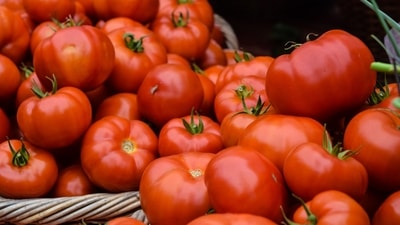 The memes related to the tomato price hike will make you chuckle. (Unsplash/@Josephine Baran) The memes related to the tomato price hike will make you chuckle. (Unsplash/@Josephine Baran)