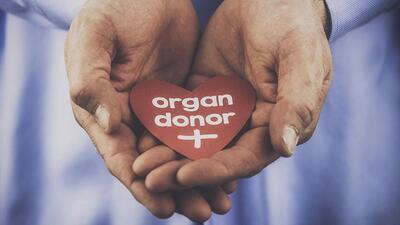 A reminder of the importance of organ donation. Male hands holding heart with a message that reads: Organ donor. (Getty Images) A reminder of the importance of organ donation. Male hands holding heart with a message that reads: Organ donor. (Getty Images)