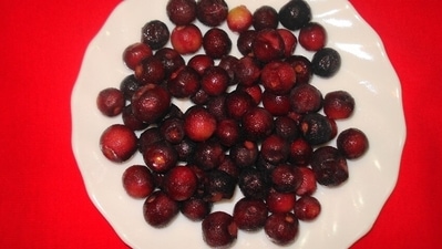 Effective for joint pains: Phalsa has antioxidant content, which works well to infuse the unripened fruit with all anti-inflammatory traits. (Pinterest) Effective for joint pains: Phalsa has antioxidant content, which works well to infuse the unripened fruit with all anti-inflammatory traits. (Pinterest)