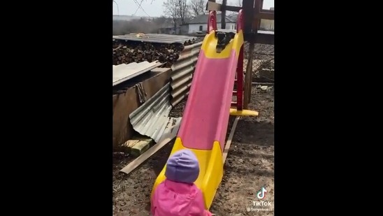 Toddler Shows Dog How to Use Slide In Adorable Video: 'This Is