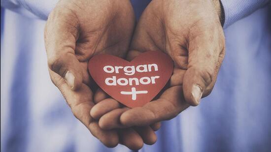 A reminder of the importance of organ donation. Male hands holding heart with a message that reads: Organ donor. (Getty Images)