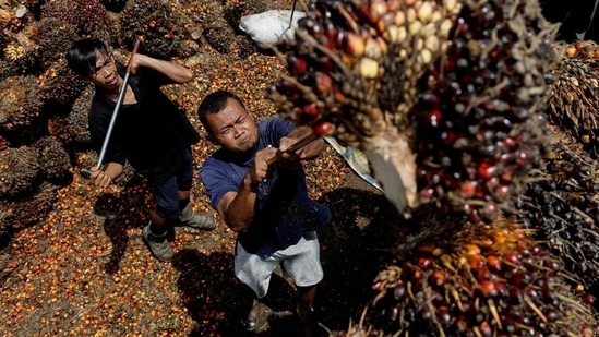 Indonesia to lift ban on palm oil exports from May 23 (Reuters)