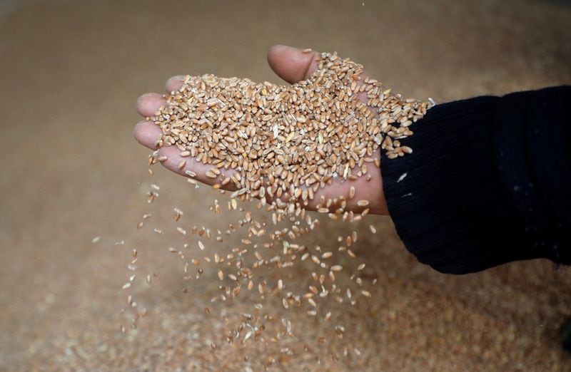 The World Bank's plans were the largest component of a US Treasury Department report summarizing food security action plans from international financial institutions released on Wednesday. (Reuters file photo. Representative image)