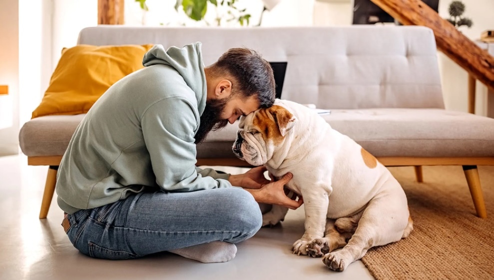 The act of meditating with your companion animals is pet meditation. The act of meditating with your companion animals is pet meditation.