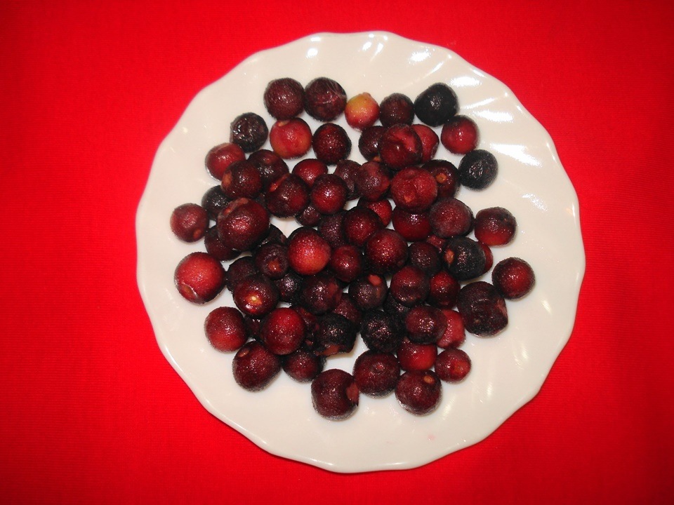 phalsa-health-benefits