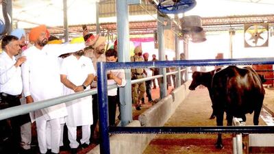 Punjab minister Kuldeep Singh Dhaliwal checking out the climate-resilient animal shed and (below) interns protesting at Guru Angad Dev Veterinary and Animal Sciences University on Friday. (HT PHOTO) Punjab minister Kuldeep Singh Dhaliwal checking out the climate-resilient animal shed and (below) interns protesting at Guru Angad Dev Veterinary and Animal Sciences University on Friday. (HT PHOTO)