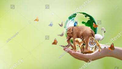 Chandigarh administration marked the World Biodiversity Day by organising a poster-making competition for school students. (HT Filr)