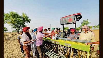 With the state government announcing incentives for those opting for direct seeding of rice, agricultural experts have advised farmers to get their soil tested before using the water-saving technique as it is not suitable for light-textured soil. (HT PHOTO )
