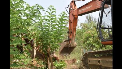 The forest department had previously run into conflicts with encroachers in the region. (HT PHOTO) The forest department had previously run into conflicts with encroachers in the region. (HT PHOTO)